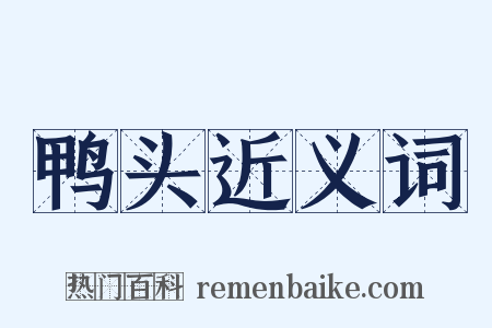 鸭头近义词是什么意思的图片